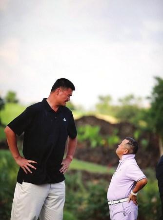 我可以帮你 我可以帮你