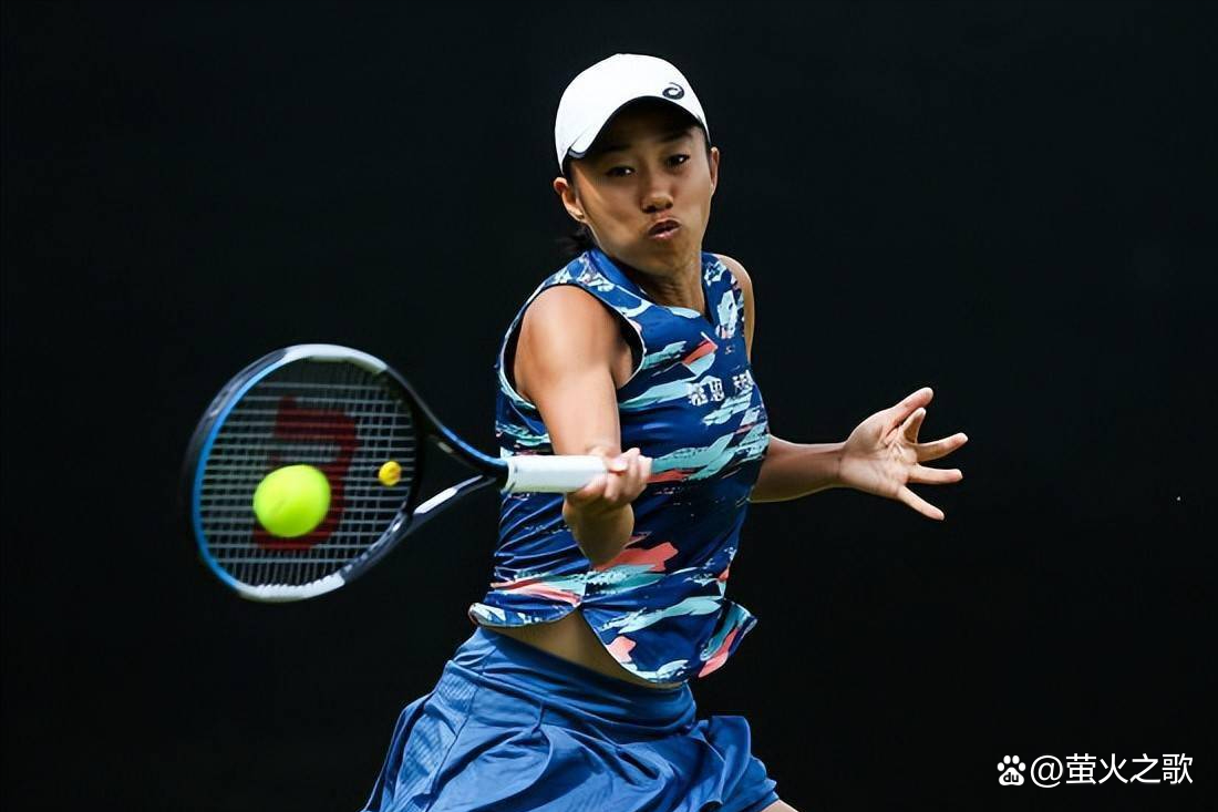 舒瓦伯达成 舒瓦伯达成